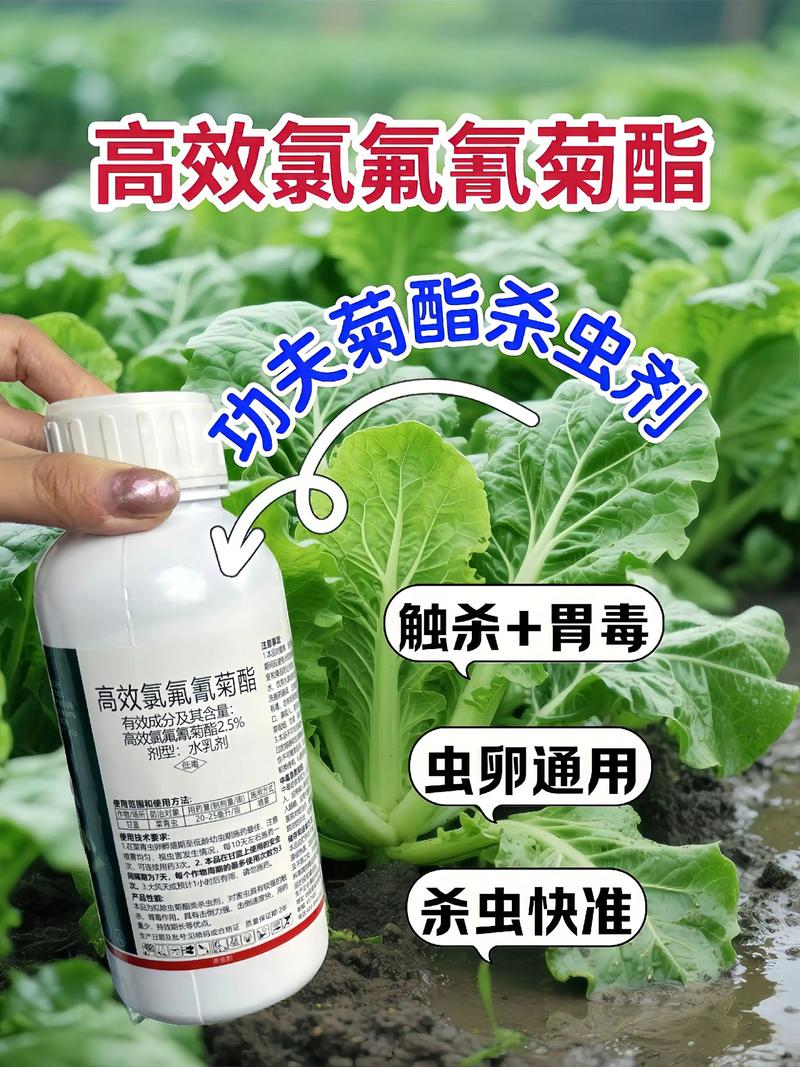 城口代生中心:农药对供卵代生妈妈的危害